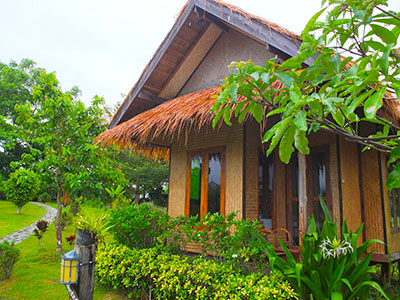 บ้ายปายกลางนา