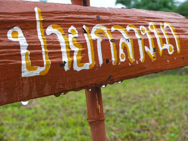 เที่ยวเมืองปาย